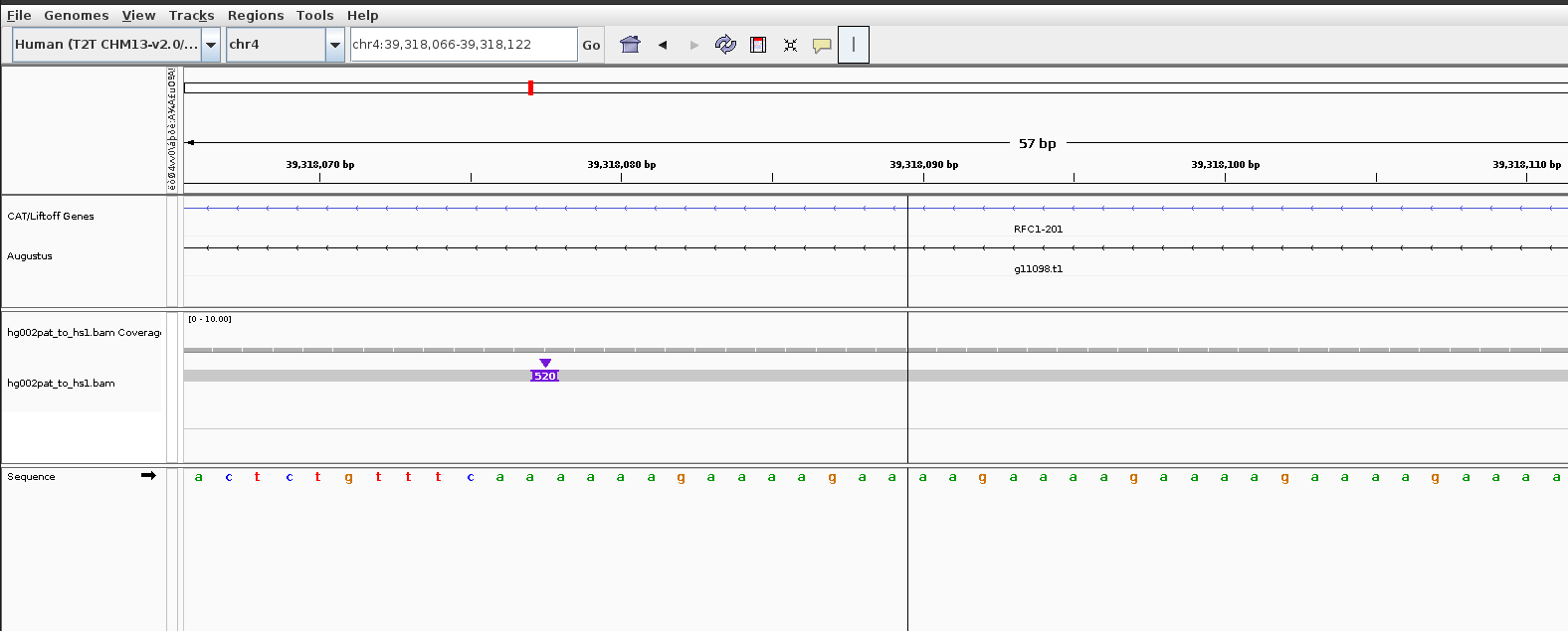 IGV screenshto showing 520bp insertion at RFC1 locus