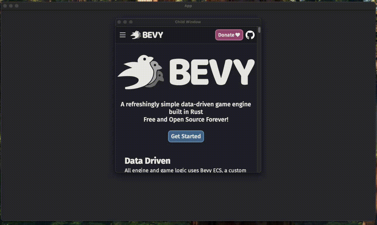 webview