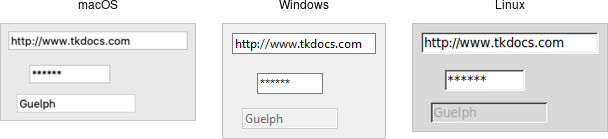 Entry widgets.
